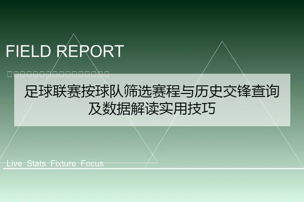 足球联赛按球队筛选赛程与历史交锋查询及数据解读实用技巧